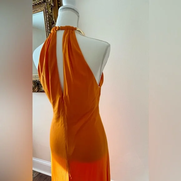 Halston Heritage Orange Maxi Dress - Picture 10 of 10